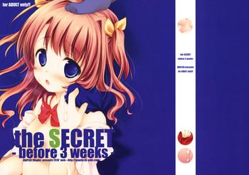 c78 mapler maple the secret before 3 weeks copyshi cover