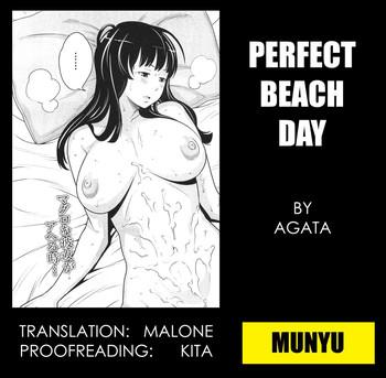 osoto biyori perfect beach day cover