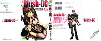 miyazaki maya blush dc himitsu vol 2 chinese cover