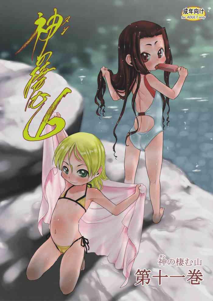 nushi no sumu yama vol 11 cover