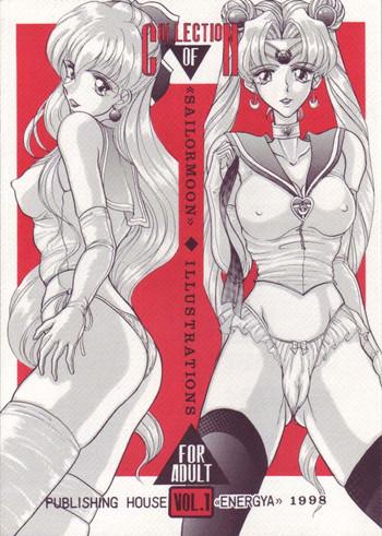 sc energya russia no dassouhei collection of sailormoon illustrations for adult vol 1 bishoujo senshi sailor moon cover