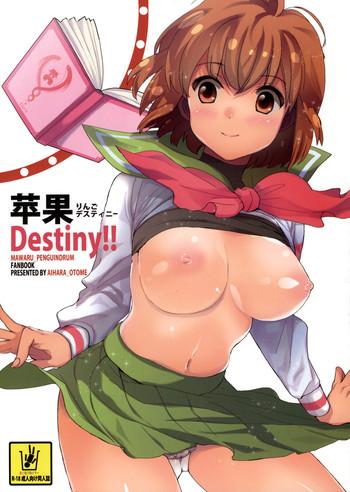 ringo destiny cover