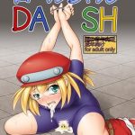 dash cover