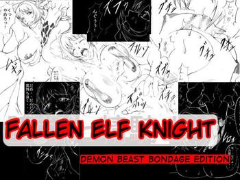 ochita sei kishi maju inbaku hen fallen elf knight cover