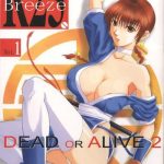 r25 vol 1 dead or alive 2 cover